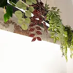 Apartment Tabula Forum House *