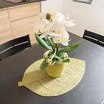 Apartment Tabula Forum House *