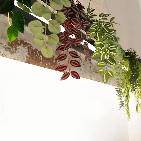 Apartment Tabula Forum House *