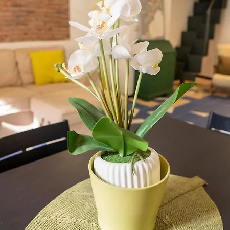 Apartment Tabula Forum House *