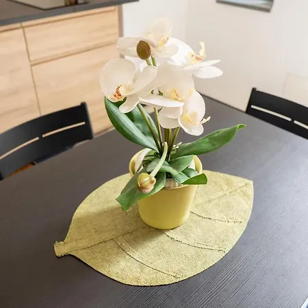 Apartment Tabula Forum House *
